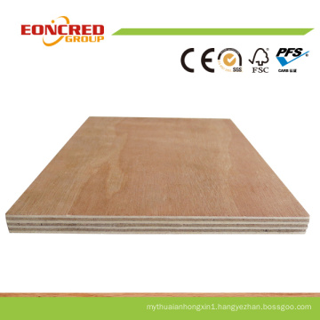 Best Price 12mm Bintangor Plywood with Good Quality